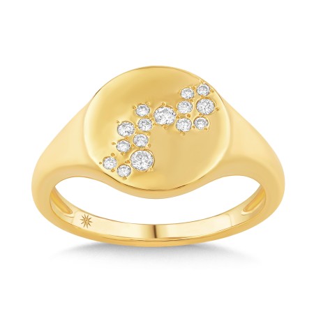 14K Gold & Diamond Druzy Signet Ring